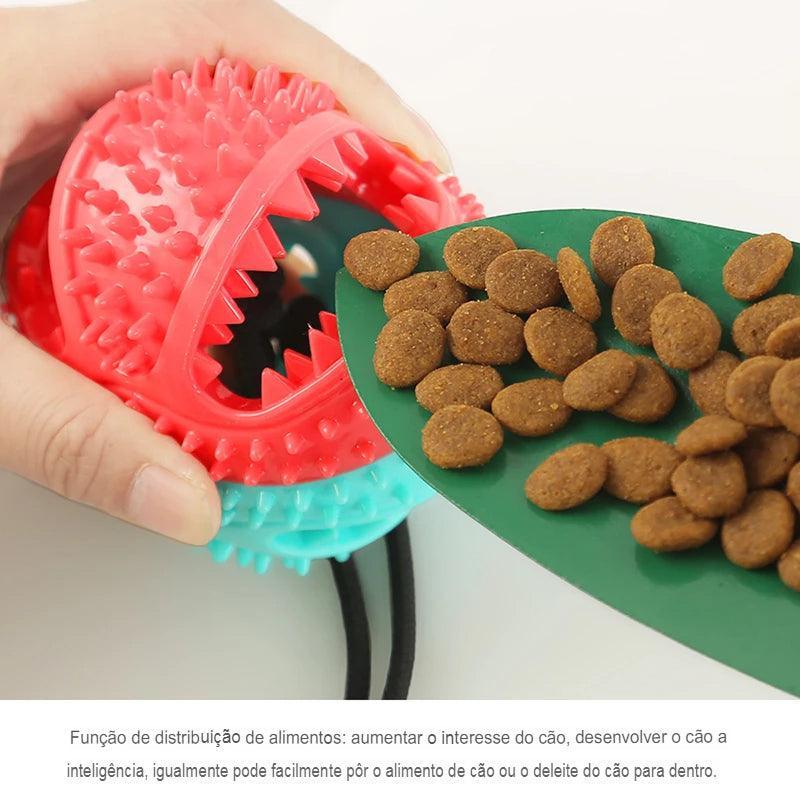 Bola de briquedo para rações - Cia Max